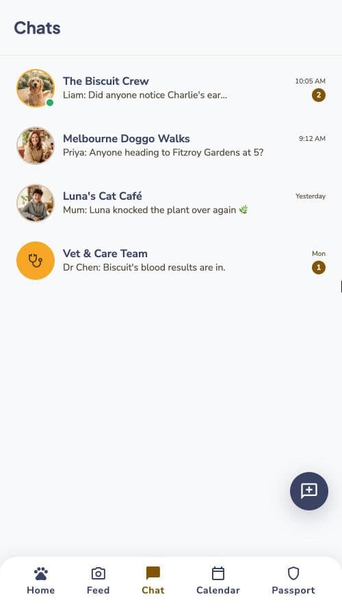 Chat screen in the Petory app