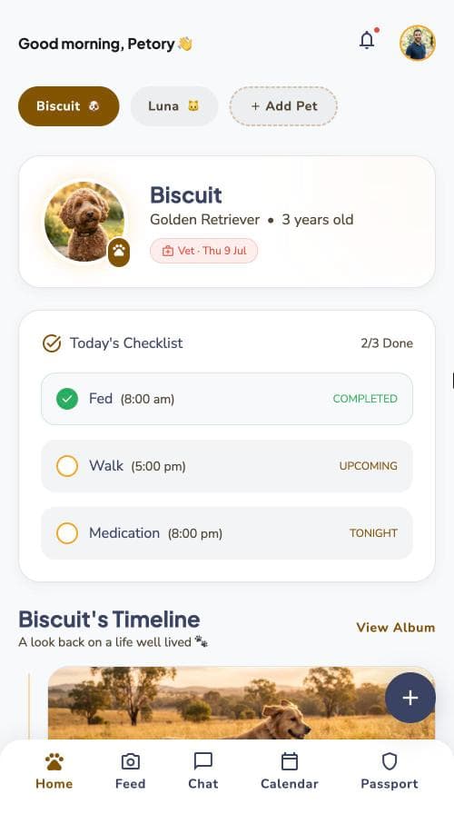Home screen in the Petory app