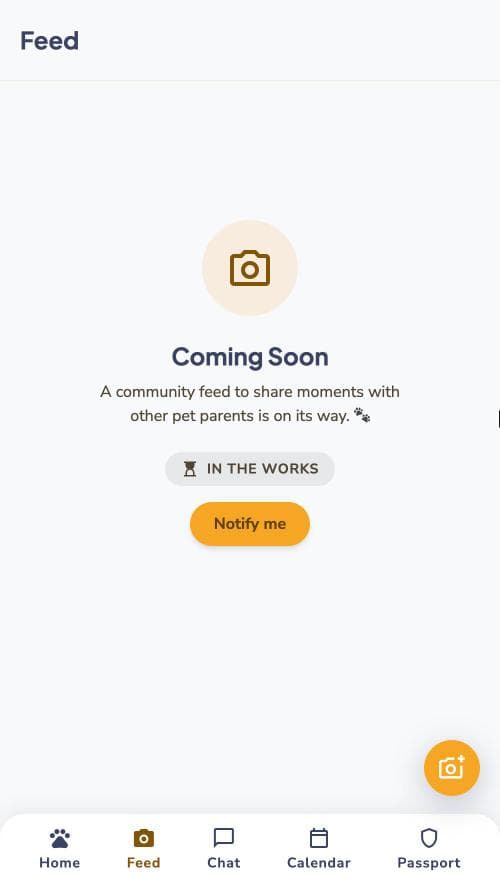 Feed screen in the Petory app