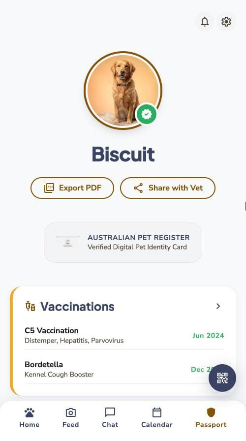 Passport screen in the Petory app
